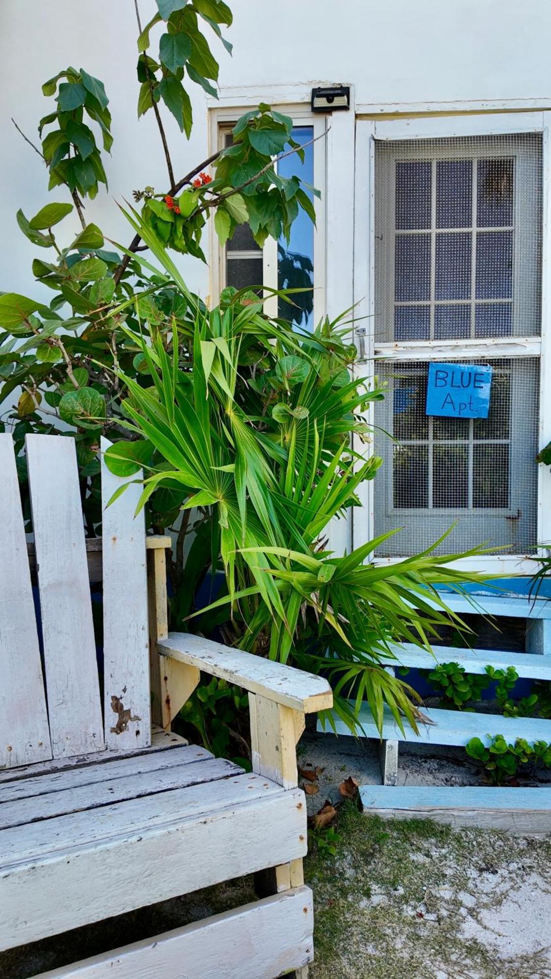 The Novelo Hotel Caye Caulker Ngoại thất bức ảnh